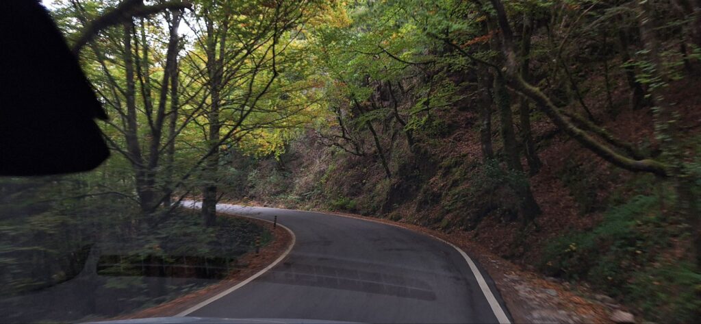 A narrow winding road through autumn forest, seen from inside the car.