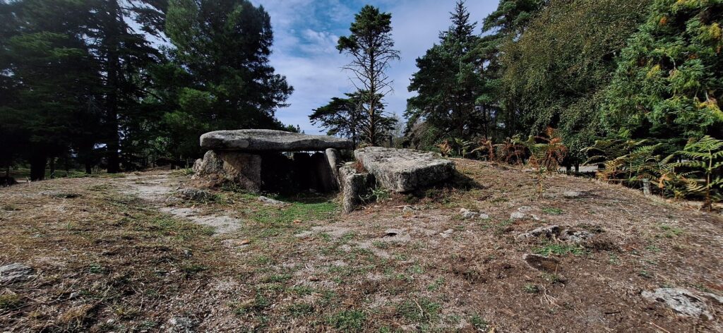A granite dolmen with a flat capstone resting on upright stones, in a clearing among pine trees and ferns.