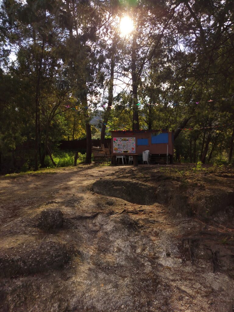 Sun shining through pines and oaks above a bare, rocky clearing, with the bar's roof visible at the far side.
